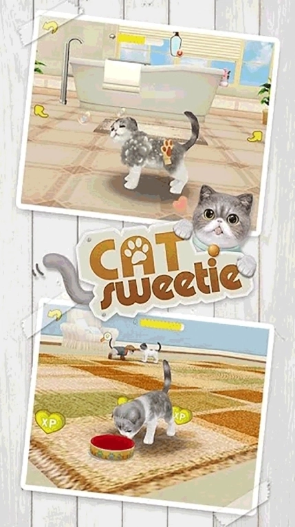 模拟宠物店养成游戏安卓版截图