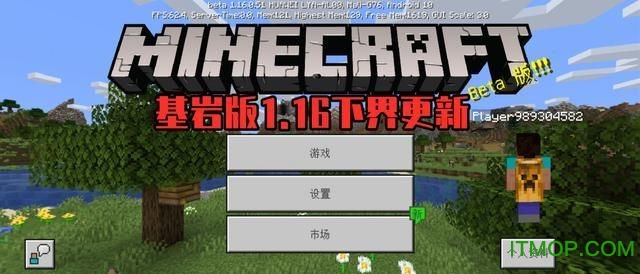 迪哥闯世界我的世界1.16截图