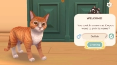 猫咪救援故事截图