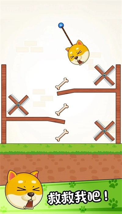 菜狗闯关最新版截图