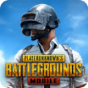 PUBG体验服 v2.5.4 安卓版