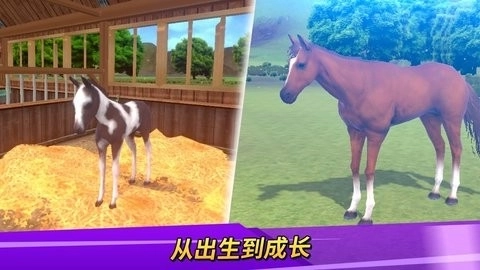 德比生活中文版截图