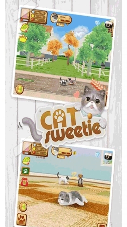 模拟宠物店养成游戏安卓版截图