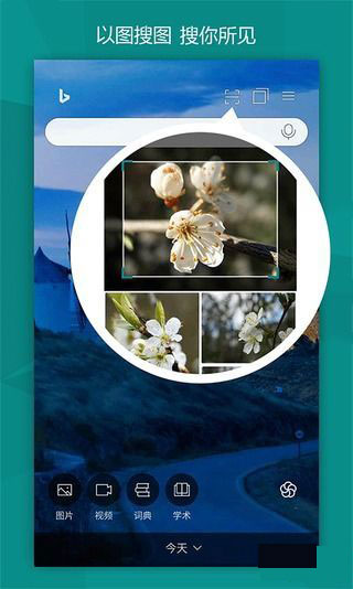 必应国际版app v28.6.420254008 安卓版截图