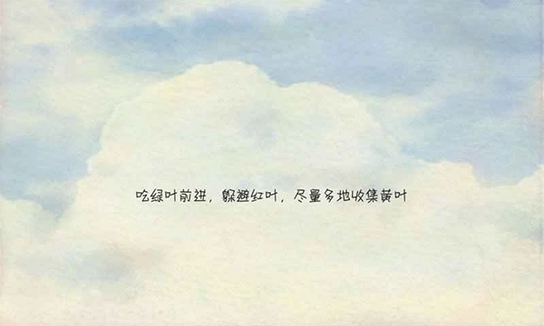 风子安卓版截图