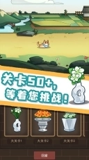 数织画花游戏截图