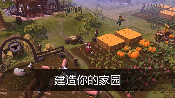 阿尔比恩国际服(Albion Online Client)截图